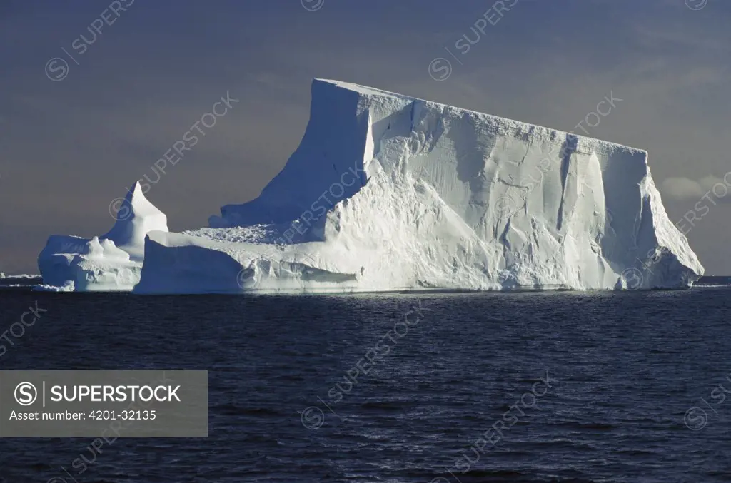 Tabular iceberg in Bransfield Strait near the northern tip of the Antarctic Peninsula, Antarctica