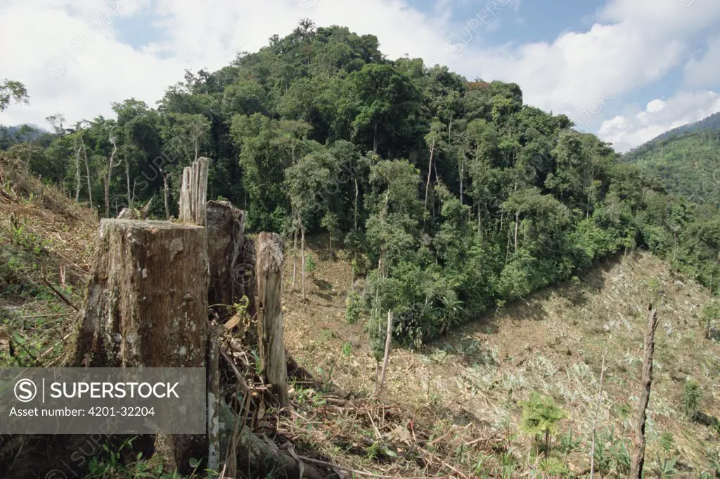 Deforested hillside of wet montane rainforest near Los Cedros Biological Reserve, Choco Phytogeographic region, northwest Ecuador