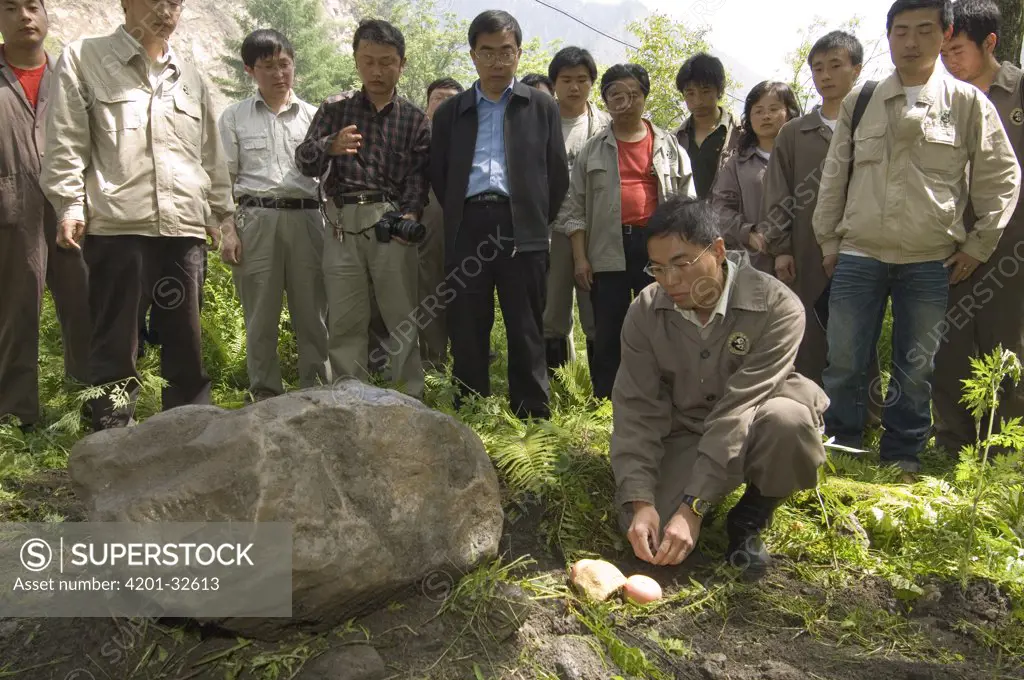 Giant Panda (Ailuropoda melanoleuca) keeper, He Changgui tearfully places Mao Mao's favorite food next to her tombstone after the May 12, 2008 earthquake and landslides, CCRCGP, Wolong, China
