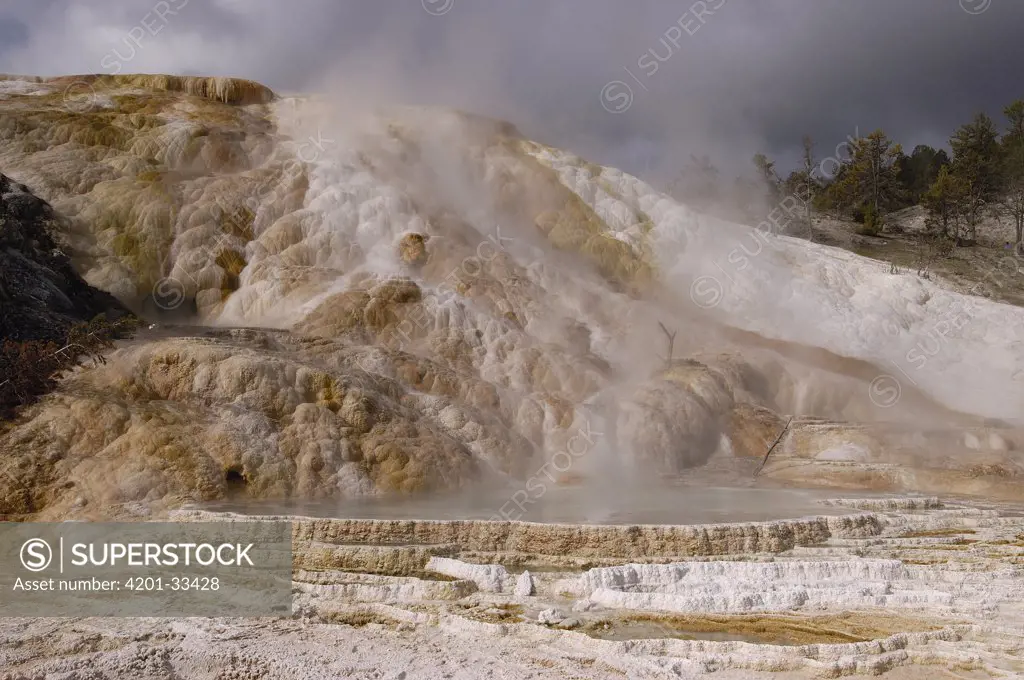Mammoth Hot Springs with its multihued travertine terraces, Yellowstone National Park, Wyoming
