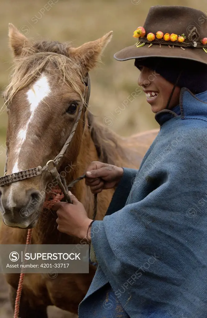 Chagra cowboy with Mountain roses in the band of his hat and his Horse at a hacienda during the annual overnight cattle round-up, Andes Mountains, Ecuador