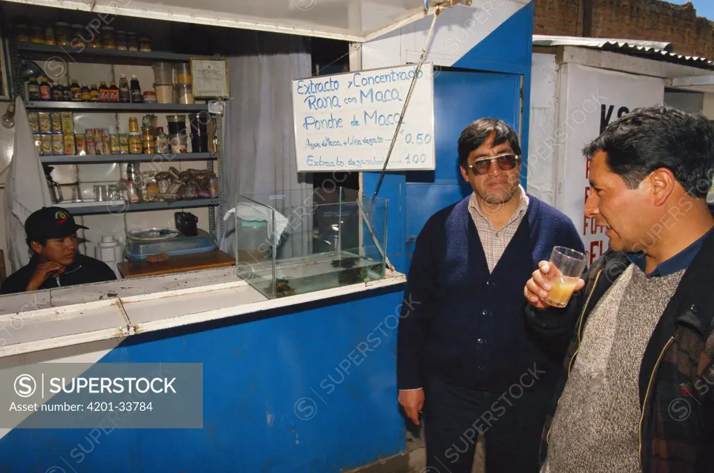 Customers at a booth drinking frog juice, a blended concoction including Lake Titicaca Frog (Telmatobius culeus) maca, honey and water which is considered an aphrodisiac, Andes Mountains, Bolivia and Peru