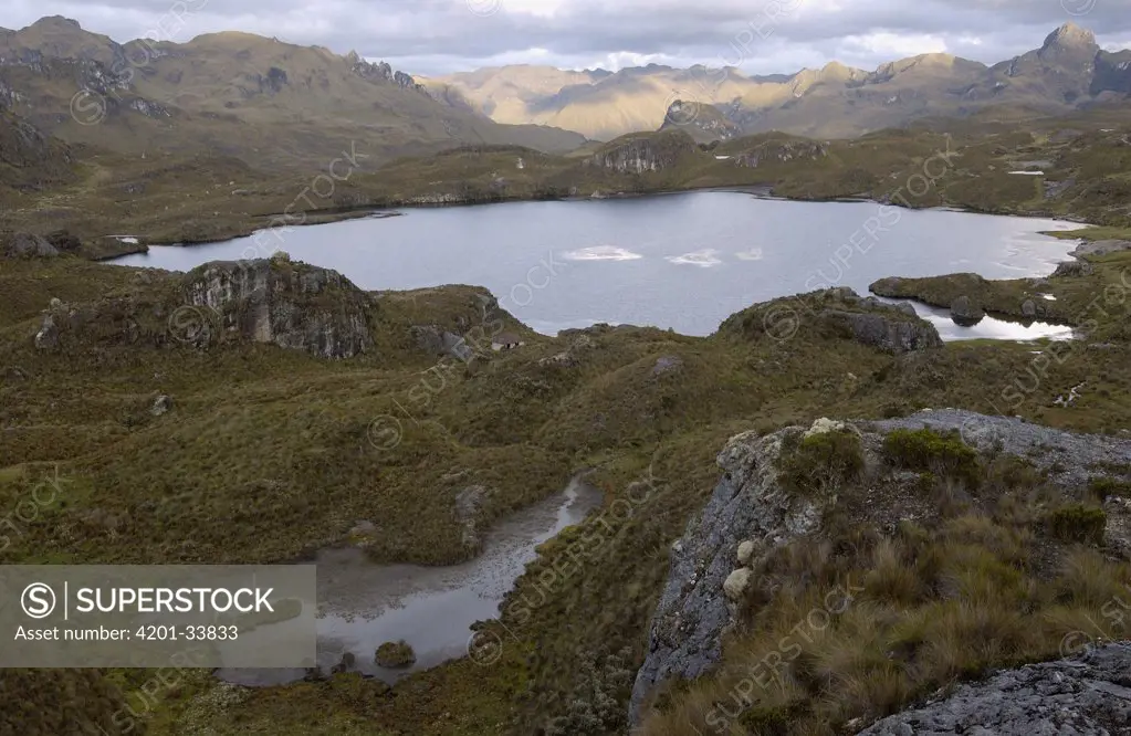 Lake in high Andes Mountains of Cajas National Park, a 24,000 hectare park with over 230 lakes, Ecuador