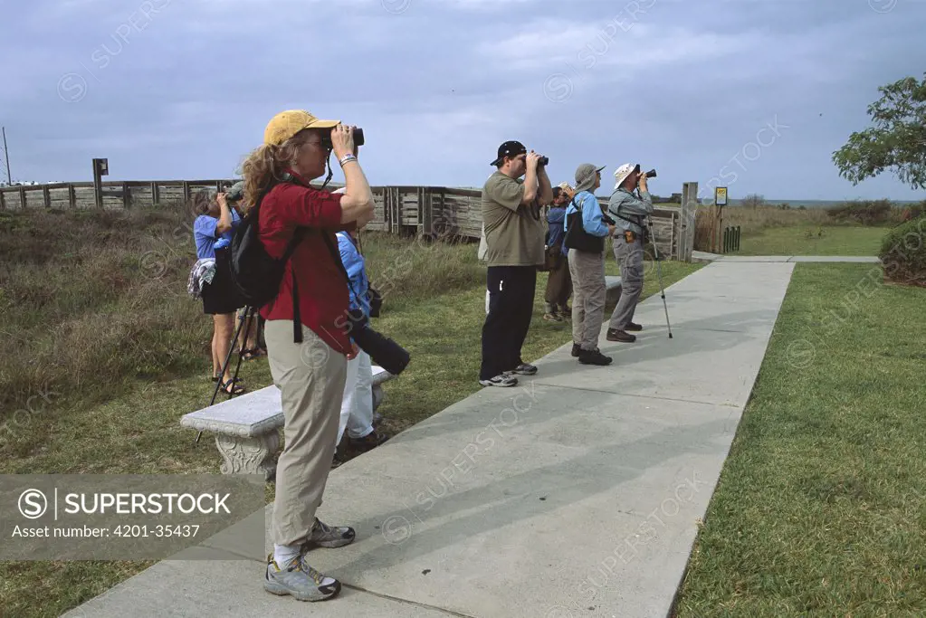 Bird watchers, south Padre Island Convention Center, south Padre Island, Texas