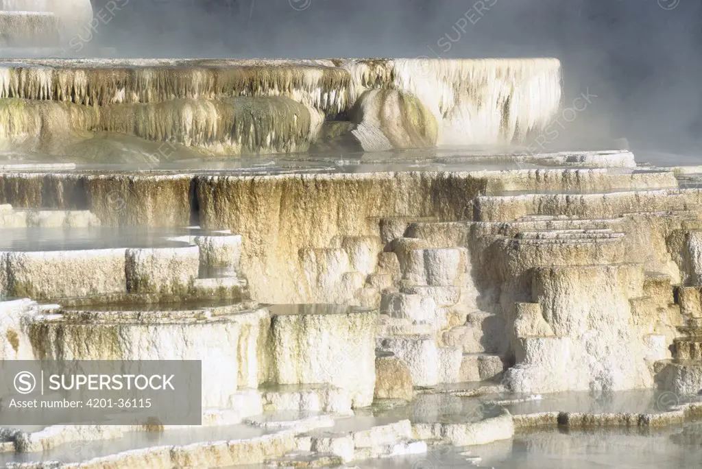 Geothermal pools, Mammoth Hot Springs, Yellowstone National Park, Wyoming
