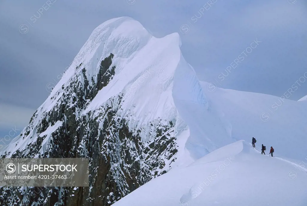 Climbers on summit ridge of Mt Scott after climbing from sea level, Antarctic Peninsula, Antarctica