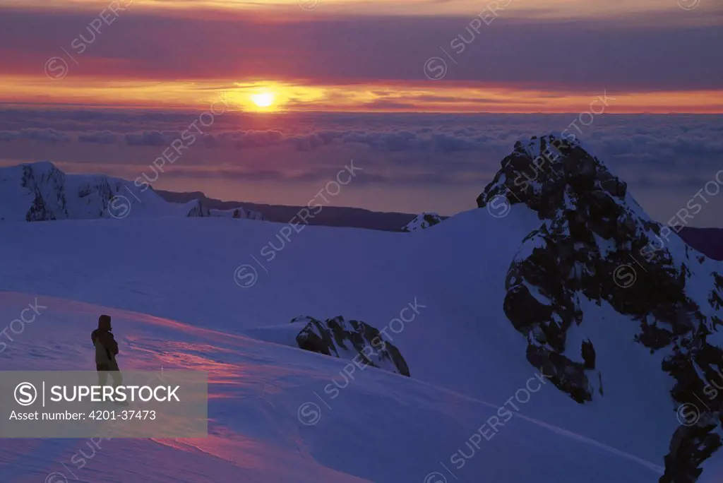 Ski mountaineer on the Franz Josef Glacier near Drummond Peak, watching the sunset over the Tasman Sea, Westland National Park, New Zealand