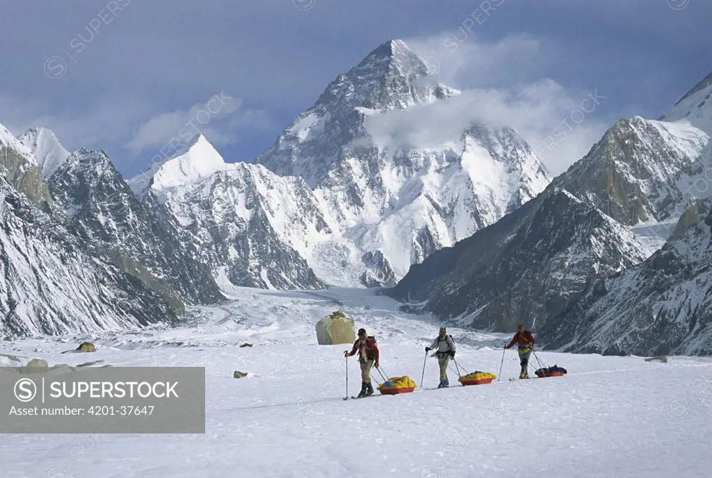 Three skiers pull sleds on Baltoro Glacier with K2 behind, at 8,611 metes elevation it is the second highest peak in the world, Karakoram Mountains, Pakistan