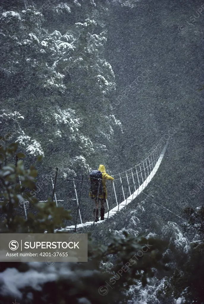 Backpacker crossing bridge in snowstorm, Lake Christobel, Lewis Pass, New Zealand