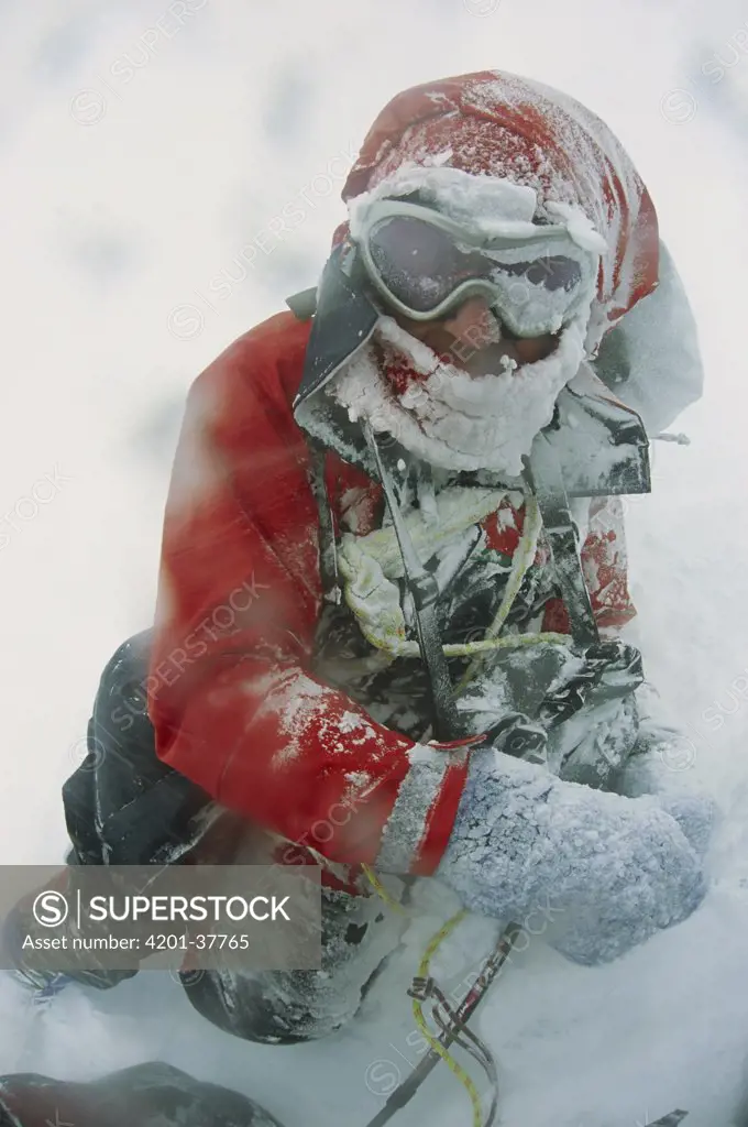 Climber in severe blizzard attempting to cross Ernest Shackleton's route, South Georgia Island