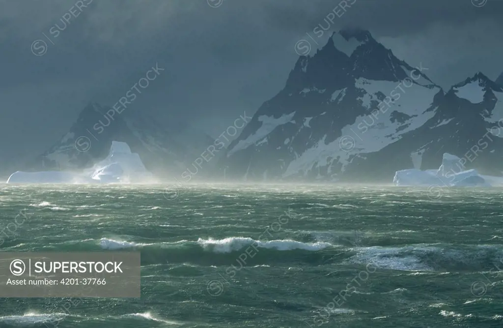 Wind storm on icebergs caused by katabatic wind off of the mountains, Drygalski Fjord, South Georgia Island