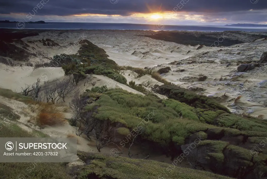 Sunset from sand dunes above Mason Bay Beach, Rakiura National Park, Stewart Island, New Zealand