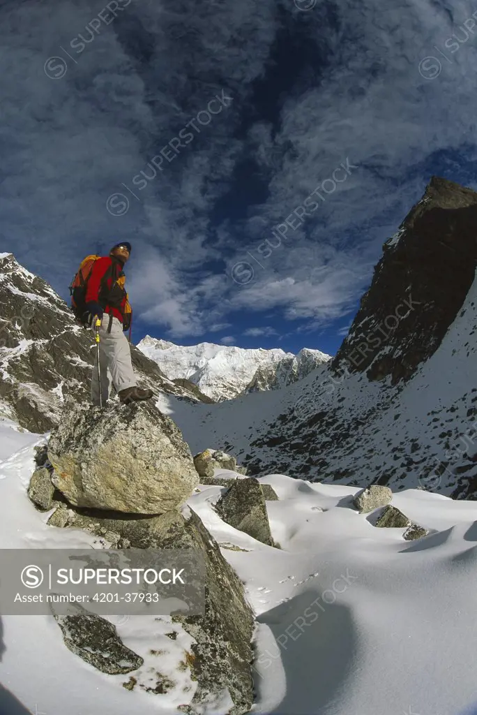 Trekker beneath Kangchenjunga, Talung face from Dzong Ri, 8585 meters, most easterly of the world's fourteen 8000 metre peaks, Sikkim Himalaya, India