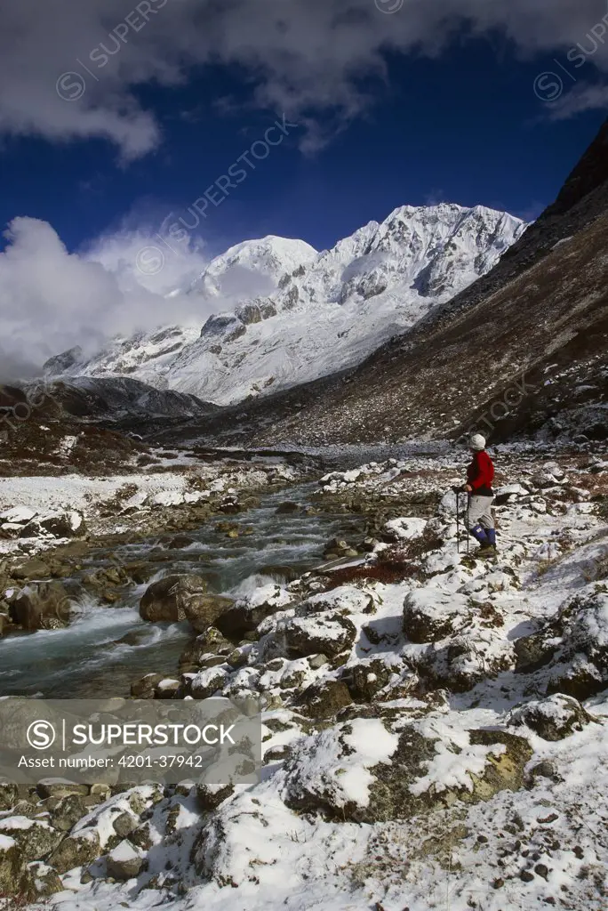 Trekker under Kabru Peak (7300 m) in winter snow, from Rathong Chu, near Kangchenjunga, Sikkim Himalaya, India