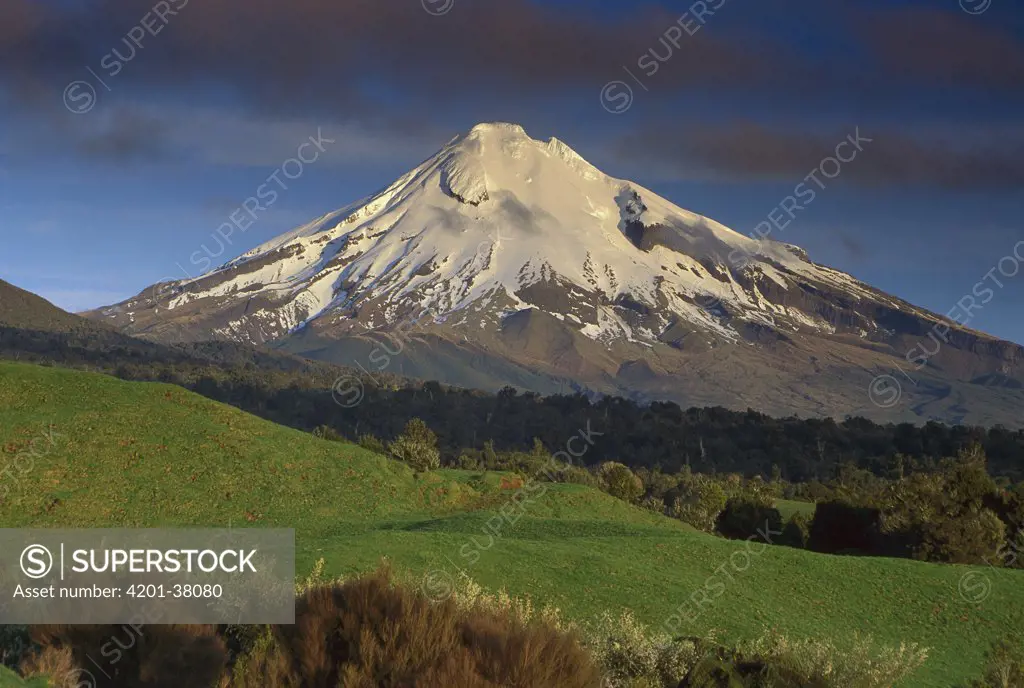 Mount Taranaki, western flanks of mountain, Taranaki, New Zealand