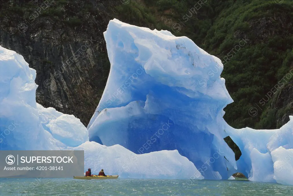 Sea kayaking with icebergs, Tracy Arm, Tracy Arm-Fords Terror Wilderness, Alaska
