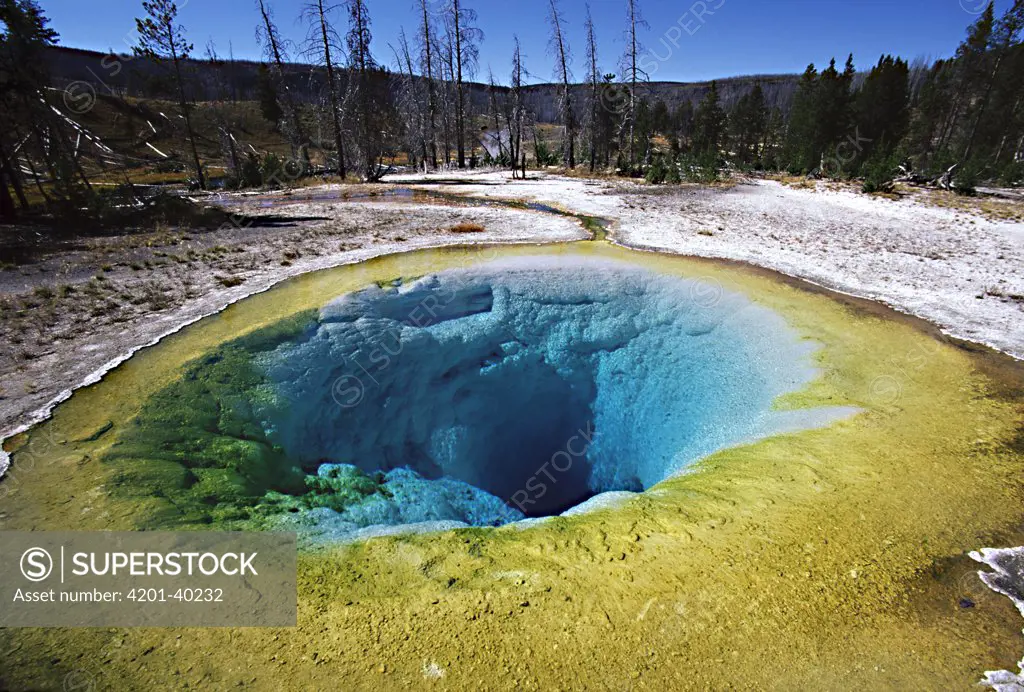 Morning Glory pool hot spring, Yellowstone National Park, Wyoming