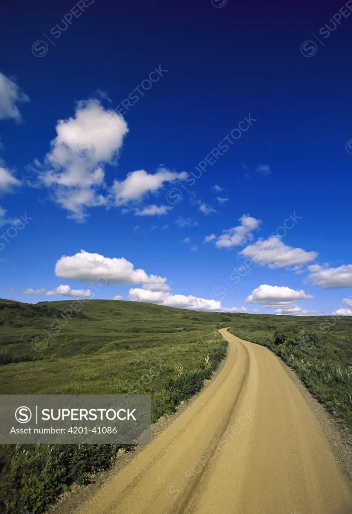 Gravel road in tundra and small cumulus clouds in sky, summer, Denali National Park and Preserve, Alaska