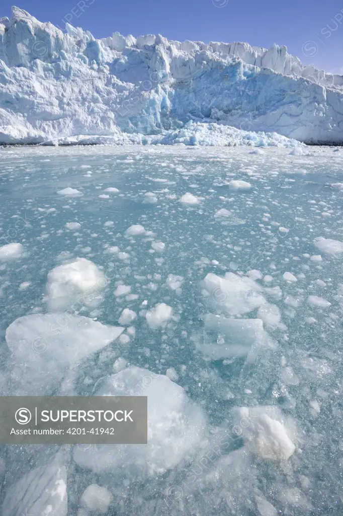 Ice columns and broken ice floes of Fortuna Glacier descending to sea, Antarctic Bay, South Georgia Island