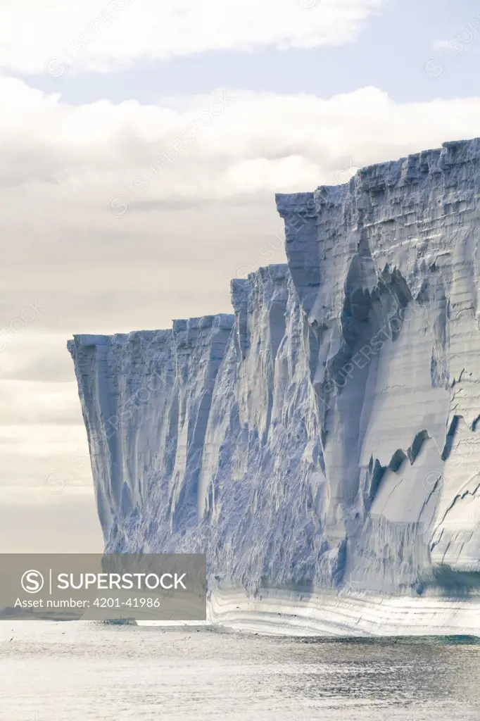 Massive tabular iceberg and seabirds flying around its base near South Georgia Island