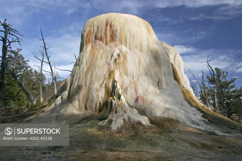 Orange Spring Mound, formed by mineral deposits, thermophilic cyanobacteria produce surface colours, Yellowstone National Park, Wyoming