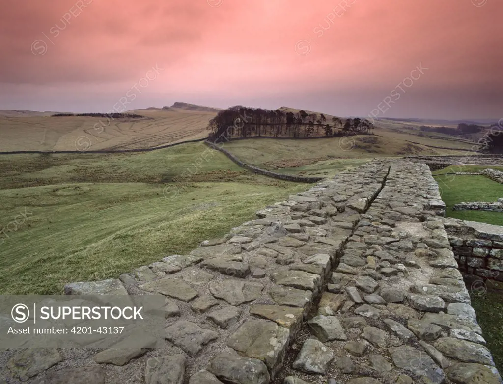 Hadrians Wall begun in year 122 by Roman Empire, Housesteads, Northumberland, England