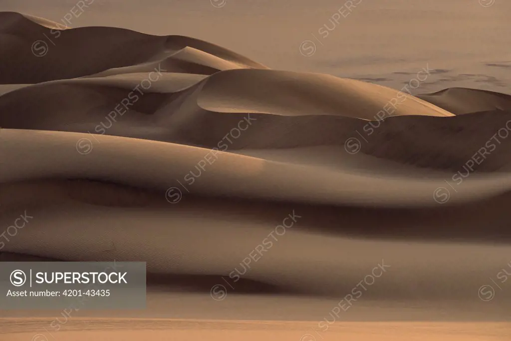 Sand dunes south of the Kuiseb River, Namib Desert, Namibia