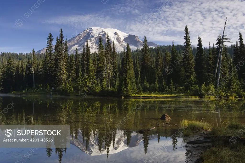 Reflection Lake and Mount Rainier, Mount Rainier National Park, Washington