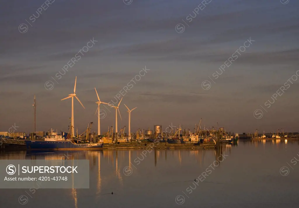 Windmills on the harbor, Lauwersoog, Netherlands