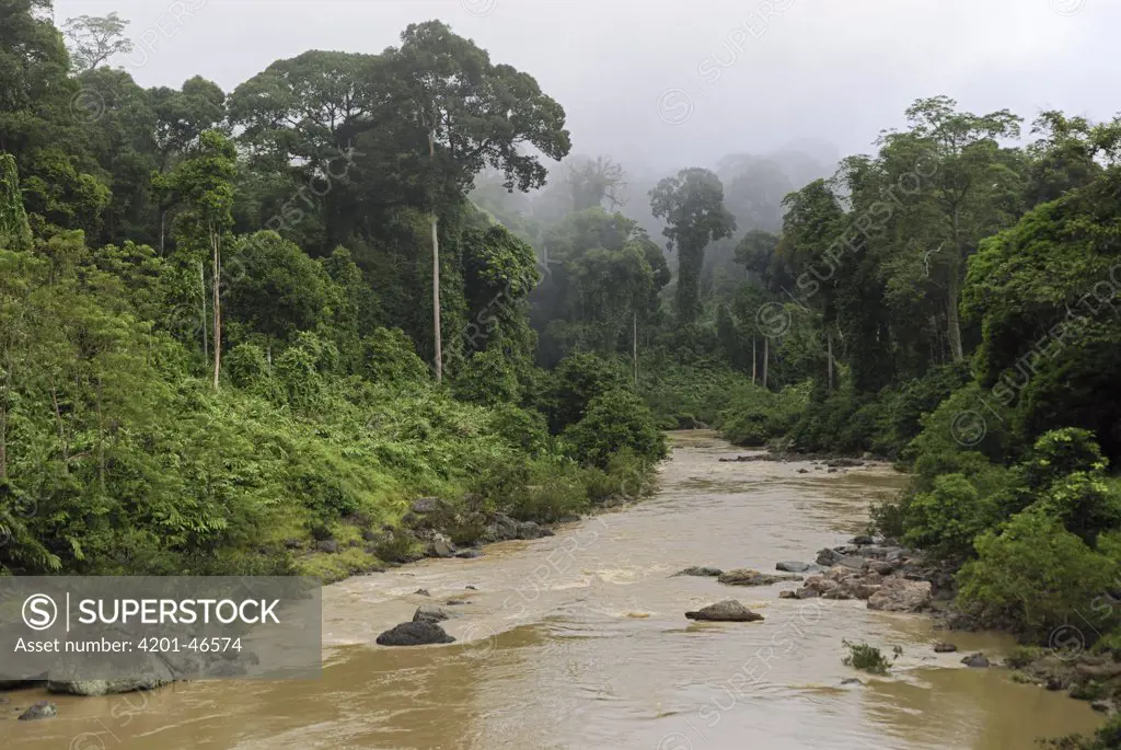 Segama River flowing through lowland rainforest, Danum Valley Conservation Area, Borneo, Malaysia