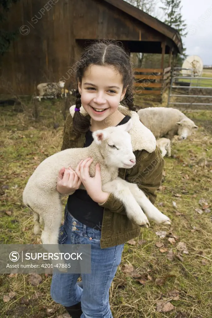 Young girl carrying a newborn lamb, Sauvie Island, Oregon