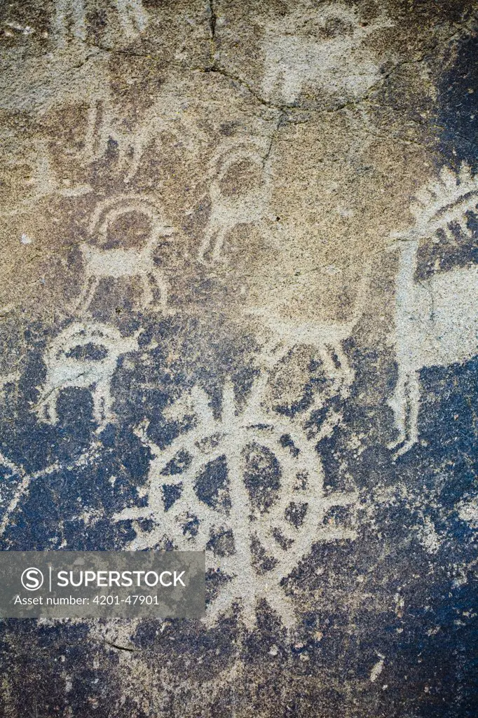 Petroglyph of bighorn sheep and a buck are etched into a rock, Columbia Hills State Park, Washington