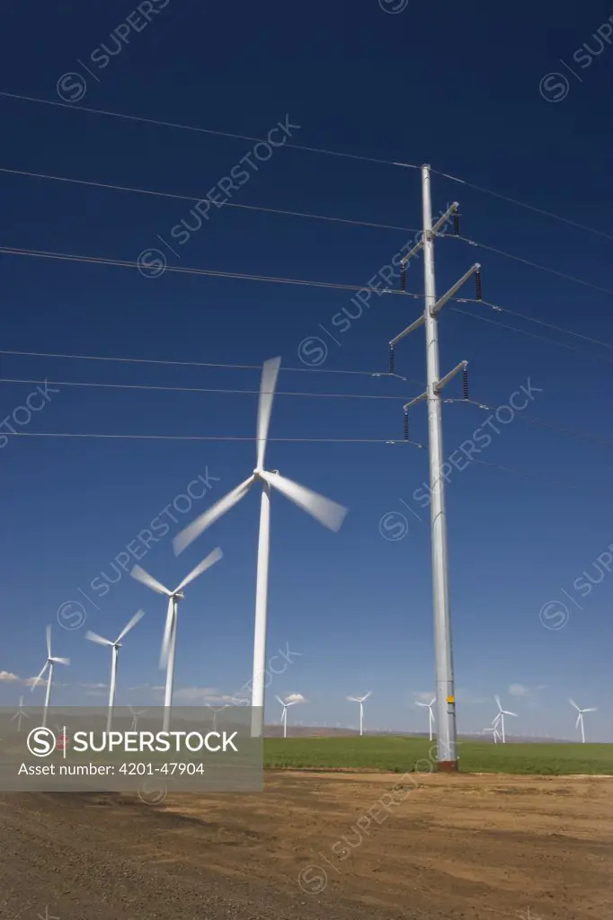 Biglow Wind Farm near the Columbia River showing wind mills and traditional electric wires, Oregon