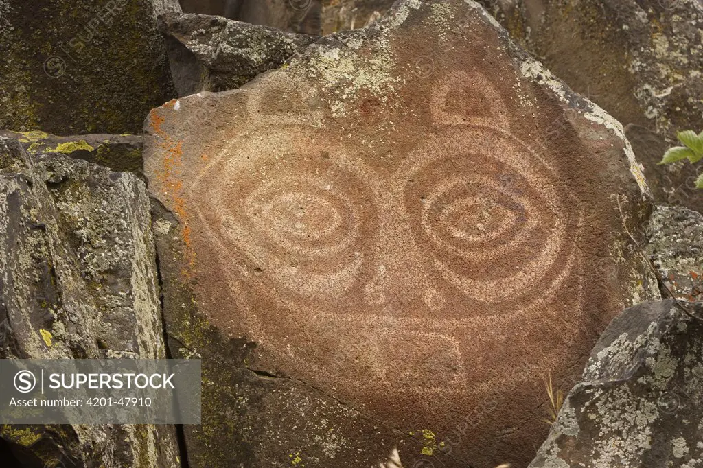 The famous ancient rock art known as Tsagaglalal, located in the Columbia Hills State Park, Washington