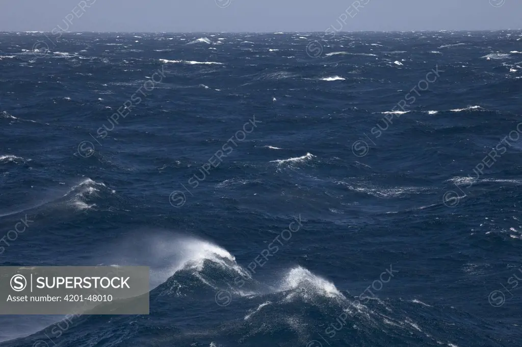 Storm tossed sea, New Zealand