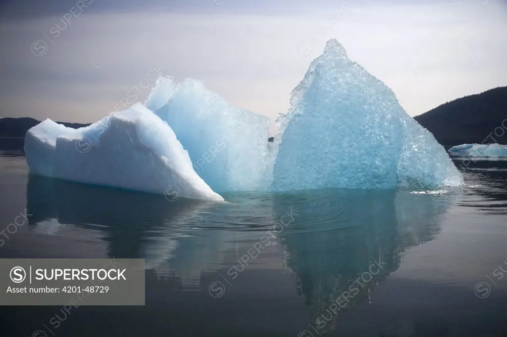 Iceberg, Tracy Arm Fjord, Alaska