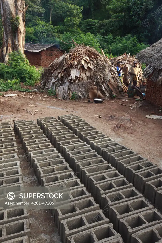 Bricks in a Bantou village will be used by Baka workers to build a school for the villagers, Cameroon