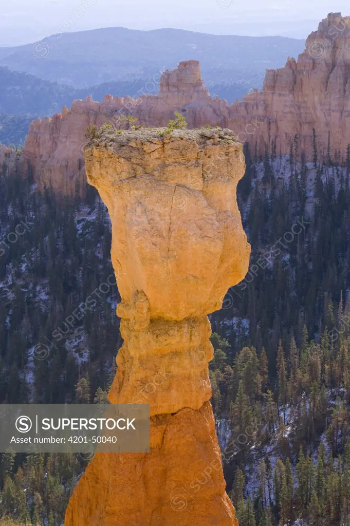 Sandstone hoodoo, Bryce Canyon National Park, Utah