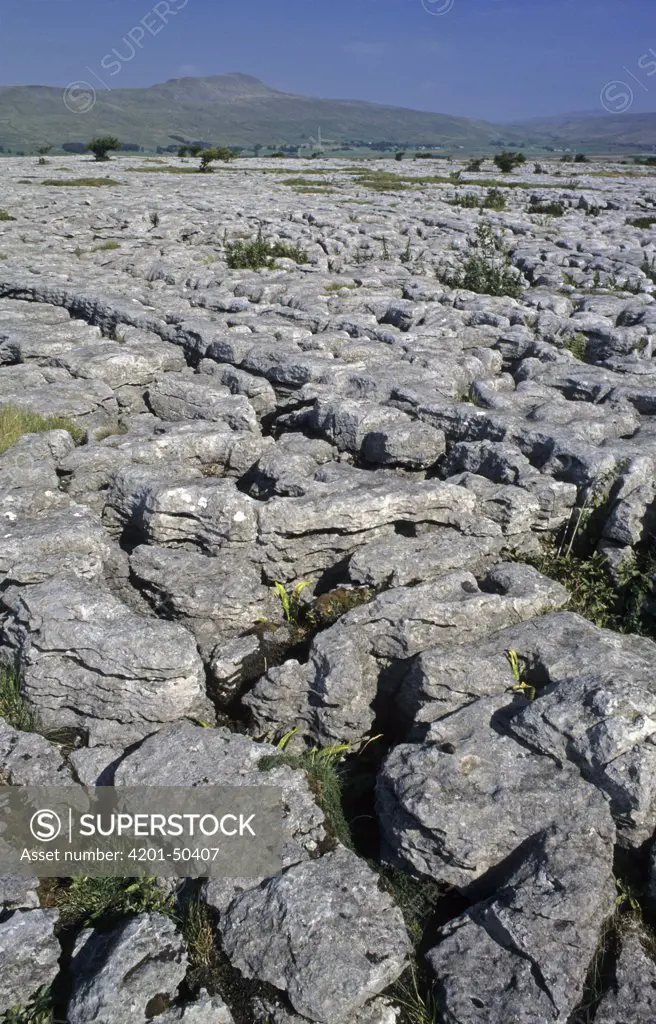Limestone pavement, natural rock formations, Ingleborough, England