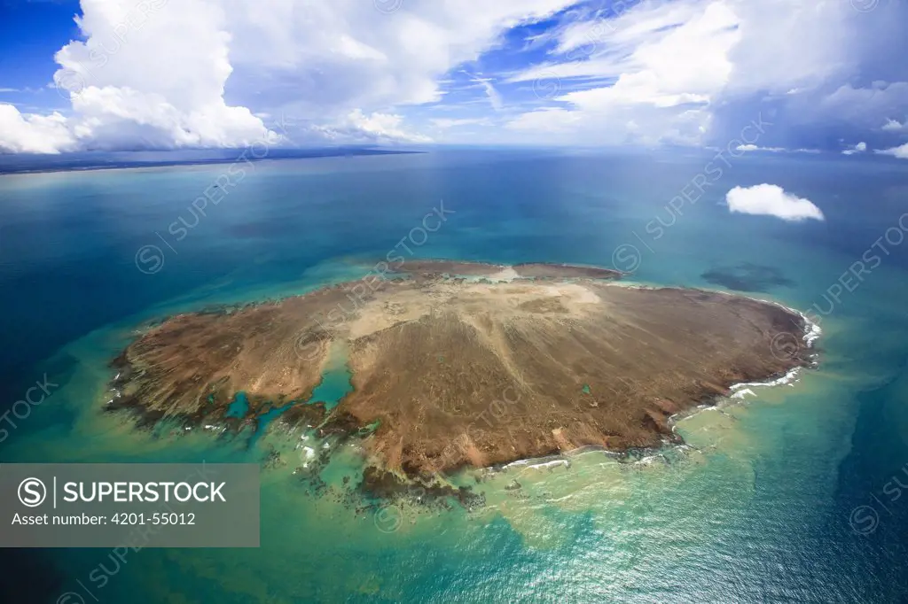 Sebastiao Gomes Reef, Caravelas, southern Bahia, Brazil