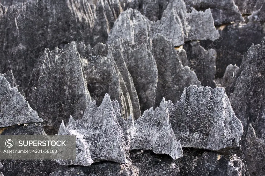 Tsingy rock formations, Bemaraha National Park, western Madagascar