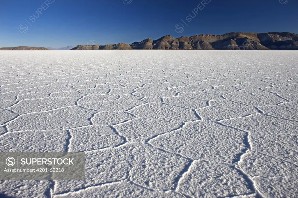 Salar de Uyuni, the world's largest salt flat, Bolivia