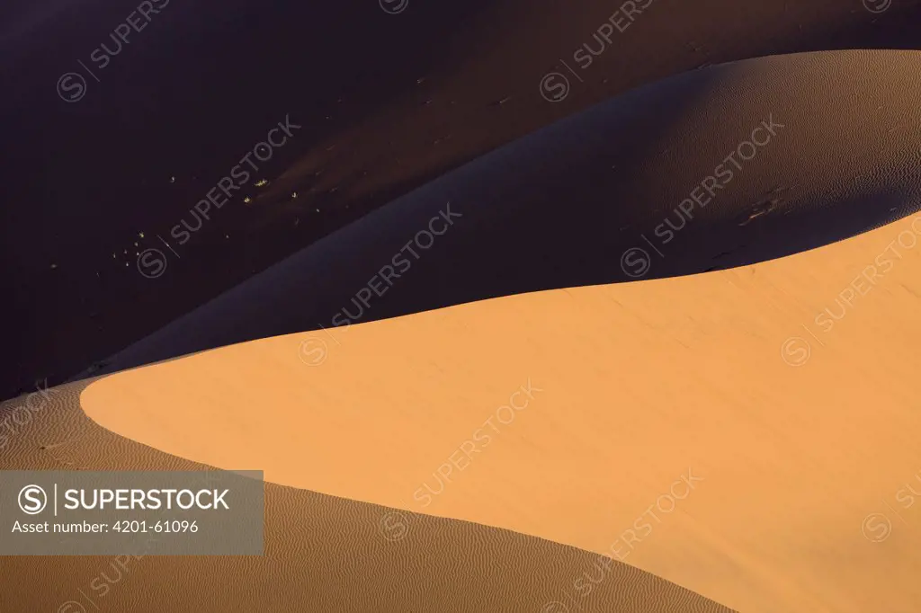 Sand dune, Namib Desert, Namib-Naukluft National Park, Namibia
