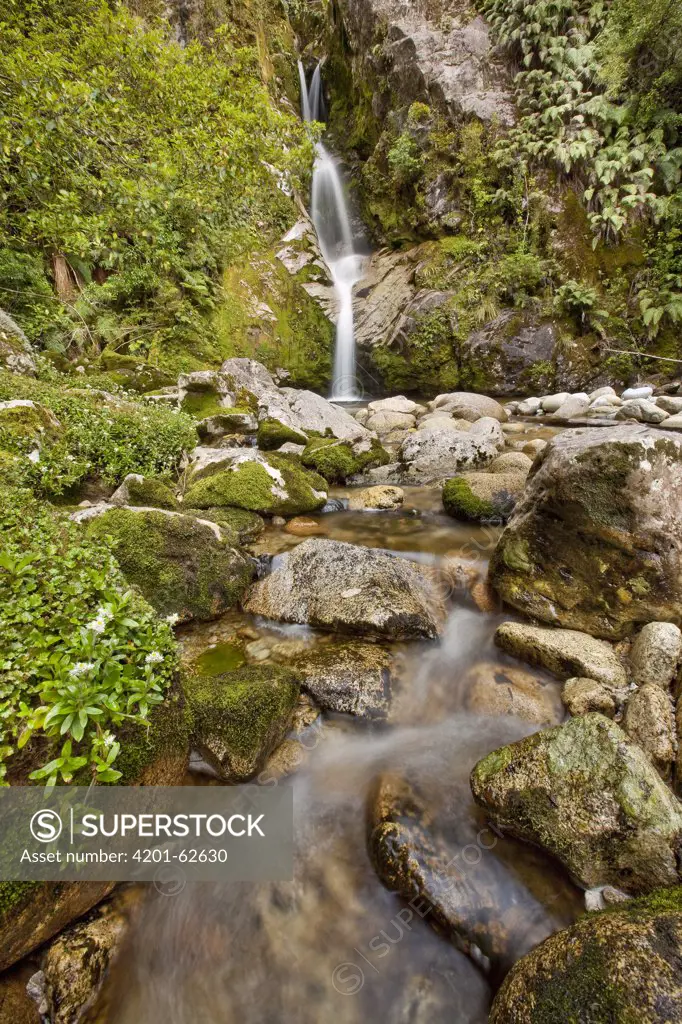 Dorothy Falls, near Lake Kaniere, New Zealand