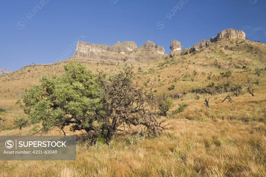 Mountain landscape, Royal Natal National Park, South Africa