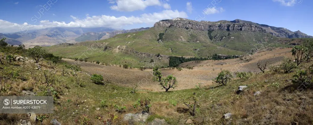 Drakensberg Mountains, Royal Natal National Park, South Africa