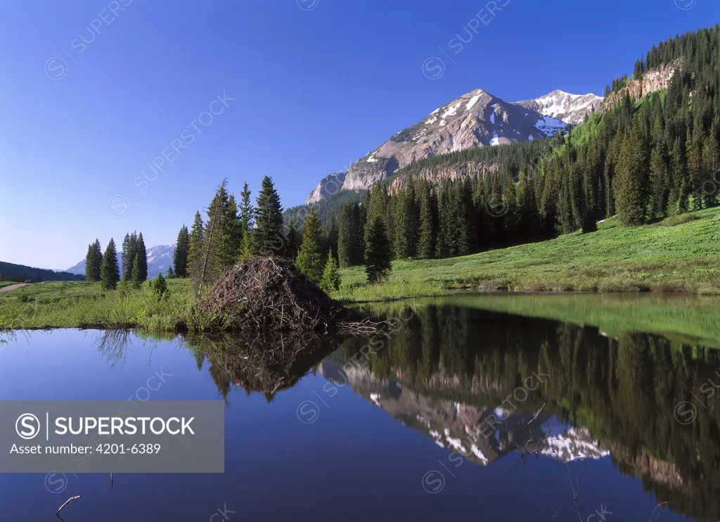 Gothic Mountain and Beaver Lodge, near Crested Butte, Colorado