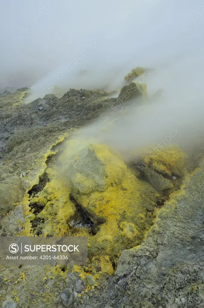 Noxious hot fumes escape from a volcanic vent on Mount Papandayan leaving behind deposits of sulfur, Indonesia