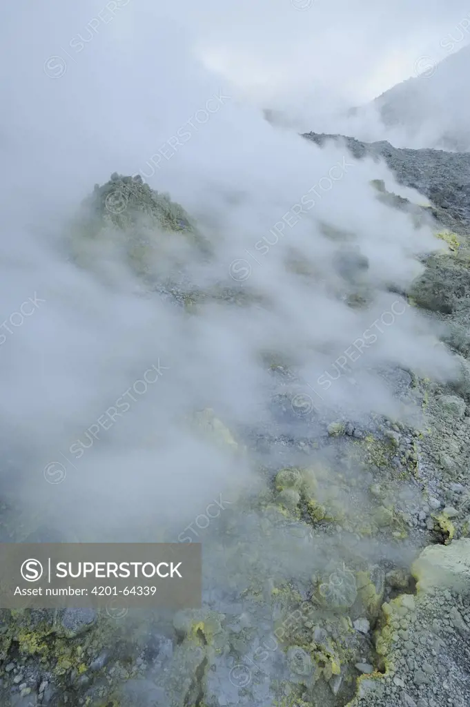 Noxious hot fumes escape from a volcanic vent on Mount Papandayan leaving behind deposits of sulfur, Indonesia