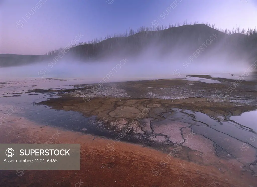 Steam rising off Grand Prismatic Pool in Midway Geyser Basin, Yellowstone National Park, Wyoming